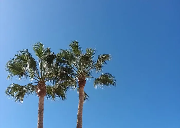 Great Oportunity Costa Adeje First Sea Line Free Wifi